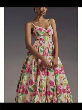 Hutch NWOT Pink Floral Cutout Midi Bubble Hem Dress with Pink and Green Accents